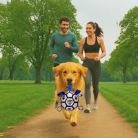 Pro Ball Pets Dog Soccer Ball with Grab Tabs, Size 2, 6 inches, White/Blue - 1076