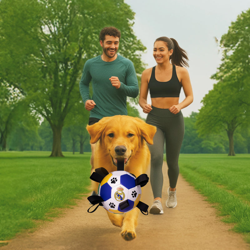 Real Madrid CF Dog Soccer Ball with Grab Tabs, Size 2, 6 inches - 1077