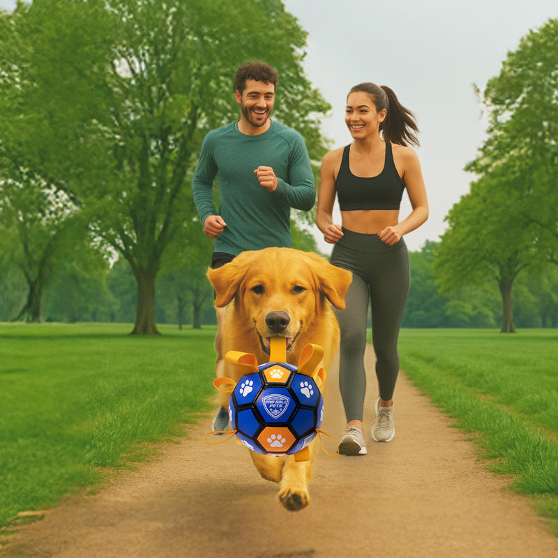 Pro Ball Pets Dog Soccer Ball with Grab Tabs, Size 2, 6 inches, Blue/Orange - 1213