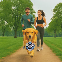 Pro Ball Pets Dog Soccer Ball with Grab Tabs, Size 2, 6 inches, Blue/Yellow - 1208